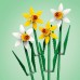 LEGO Icons Narcissus 4 gab. (40747)
