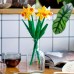 LEGO Icons Narcissus 4 gab. (40747)