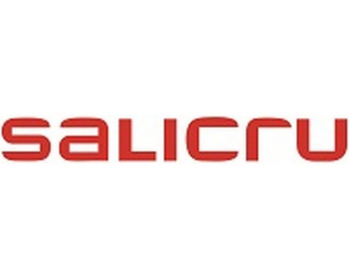 charger emergency UPS Interactive  Salicru 663AA002254