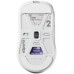 MOUSE USB OPTICAL WRL X2H/MEDIUM WHITE PX2HES22 PULSAR PX2HES22 (8809773555777)