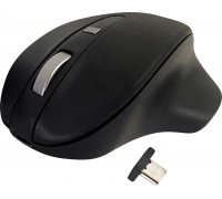 - Wireless USB-C Pro Mouse Black