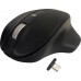 - Wireless USB-C Pro Mouse Black