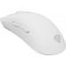 GENESIS Zircon 880  (NMG-2380)