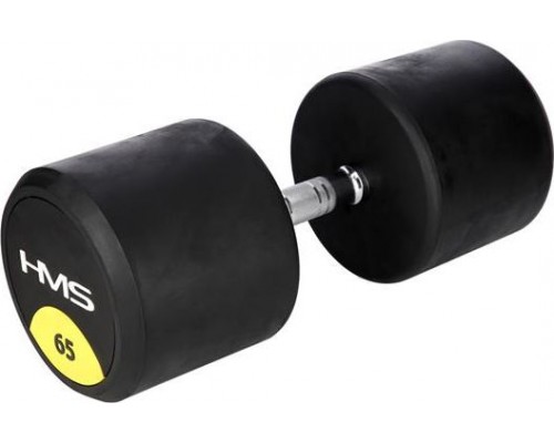 HMS HG PRO rubberized 1 x 65 kg