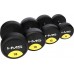 HMS HG PRO rubberized 1 x 65 kg