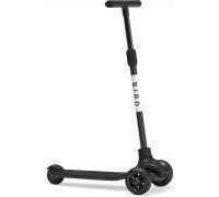 Bird Birdie Black