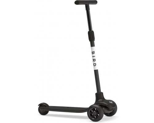 Bird Birdie Black
