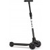 Bird Birdie Black