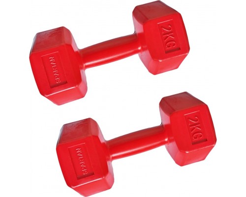Spartan ‎‎‎‎Dumbbells 1856 bituminous 2 x 2 kg
