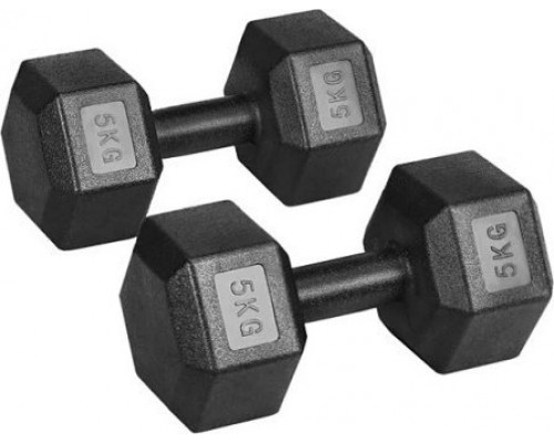 Spartan ‎‎‎‎Dumbbells 1859 bituminous 2 x 5 kg
