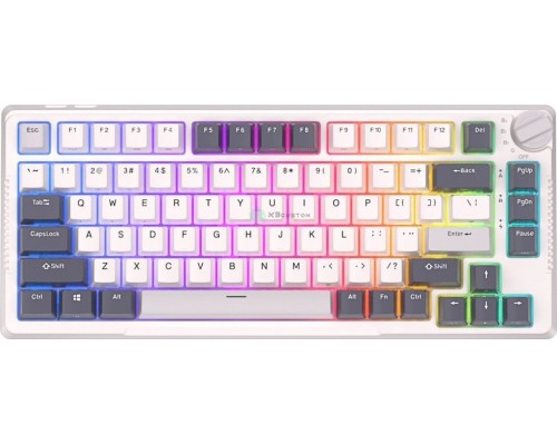 Royal Kludge RKH81 - HOTSWAP - WHITE