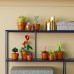 LEGO Icons Tiny Plants (10329)
