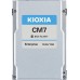 Kioxia X121 CM7-R eSSD U.3 eSDD 7.6TB PCIe SIE