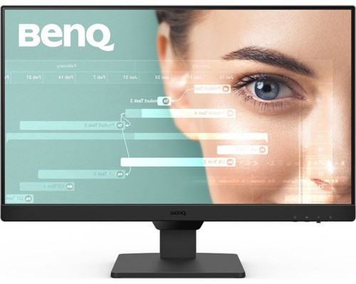 BenQ GW2490 (9H.LLSLB.QBE)