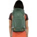Osprey OSPREY Hikelite 26 Pine Leaf Green