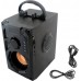 ZS53 bluetooth radio