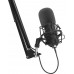 Genesis Radium 400 G2 (NGM-2285)
