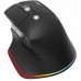 Acer Easy Fit belaidė pelė |2.4GHz and BT5.0 | Juodas | Acer