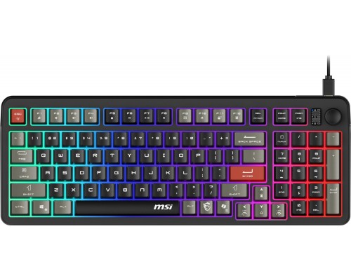 MSI Forge GK110  (Forge GK110 US)