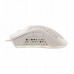 Baracuda BGM-031 Coral biały