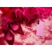 SanDisk Phone Drive USB-C, Seastar Pink, 1TB