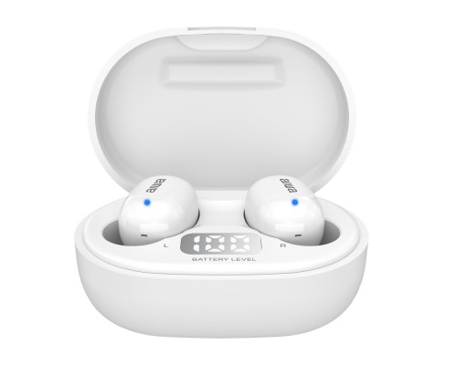 Aiwa EBTW-150WT