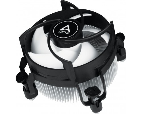 Arctic Alpine 17 (ACALP00040A)