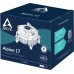 Arctic Alpine 17 (ACALP00040A)