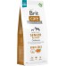 Brit Brit Care Dog Grain-Free Senior&Light Salmon 12kg