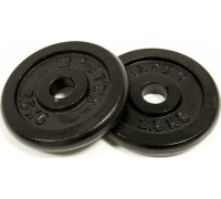 Master Load Platee Cast iron MASTER 2,5 kg x2