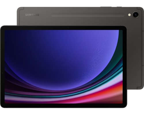 Samsung Galaxy Tab S9 11-inch 256 GB 5G Gray (SM-X716BWithAEEUE)