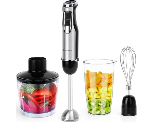 Aigostar  Hand Set Stainless Steel 1000W golden and Black（offline） VDE / Buckle