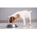 Brit Care Mono Protein Hypoallergenic Senior 12kg