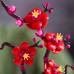 LEGO Icons Plum Blossom (10369)