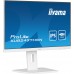 iiyama ProLite XUB2497HSN-W2