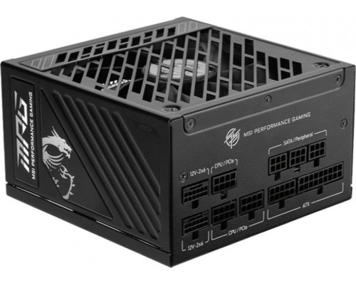 MSI MPG A1000GS PCIE5 1000W ATX 3.1 (306-7ZPFY11-CE0)