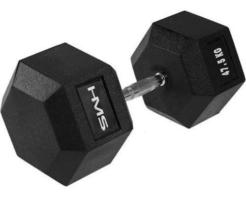 HMS Hex Pro rubberized 1 x 47.5 kg