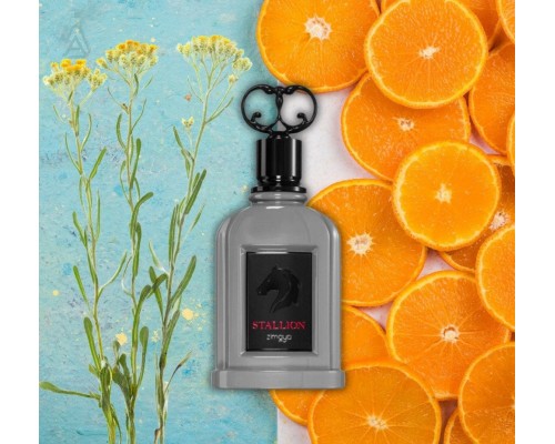 Zimaya Stallion EDP