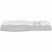 YKB 2100 CSGY WL keyboard SWIFT YENKEE