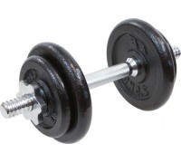 Eb Fit cast iron 1 x 10 kg