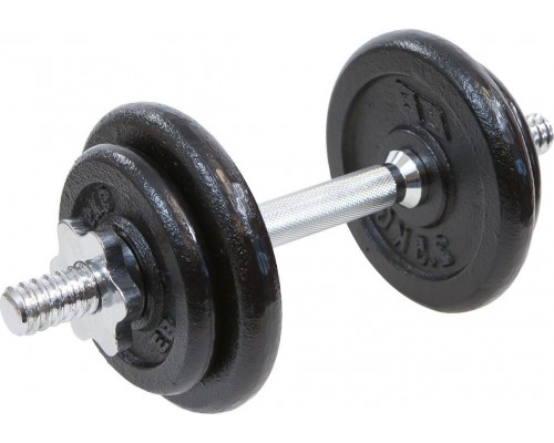 Eb Fit cast iron 1 x 10 kg