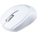 Acer G69 White (GP.MCE11.00Y)