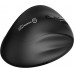 Powerton Cloe (WPM10E)