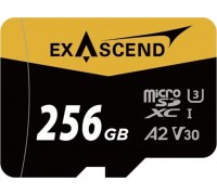 SD  ExAscend Catalyst MicroSDXC 256 GB UHS-I/U3 A2 V30 (EX256GUSDU1-AD)