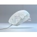 Turtle Beach Pure Sel White