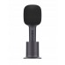 Xiaomi Karaoke (BHR6752GL)