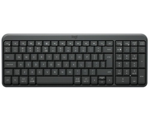LOGITECH Wireless Keyboard K250 Graphite (US)