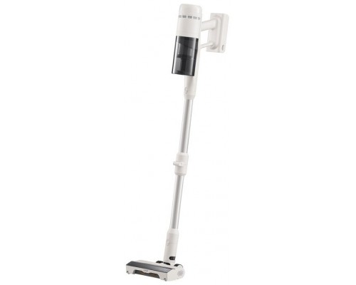 Roborock H60