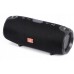 Interlook portable TG-120-BLACK black 12 W