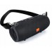 Interlook portable TG-120-BLACK black 12 W
